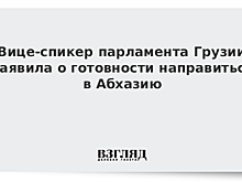 Вице-спикер парламента Грузии заявила о готовности направиться в Абхазию