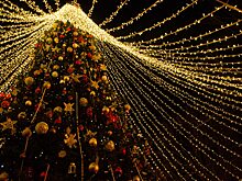 По просьбе юной курянки установят дополнительную ёлку в парке Героев гражданской войны