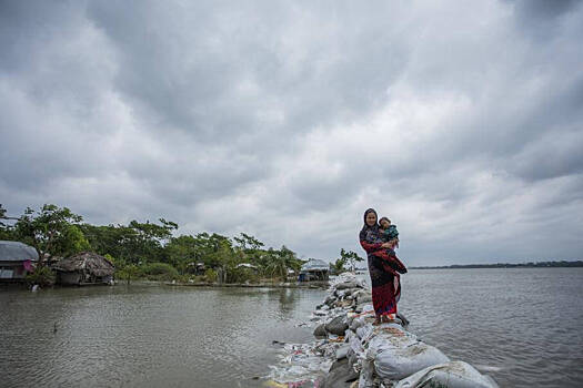 Бангладеш готовится к реализации масштабного плана по борьбе с климатическим кризисом