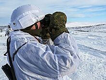 Госдеп испугался российских действий в Арктике