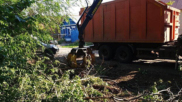 В Оренбурге продолжают бороться с сорняками