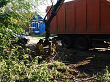 В Оренбурге продолжают бороться с сорняками