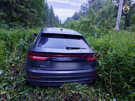 Житель Советска «прокатил» сотрудника полиции на капоте своей машины