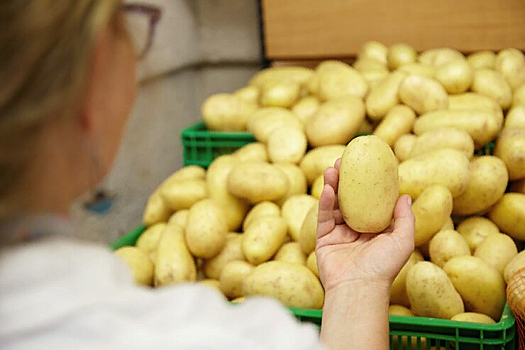 Донские фермеры: В Ростовской области с сегодняшнего дня начнет дешеветь картофель