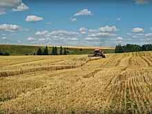 Сельские хозяйства Удмуртии завершили сбор зерна