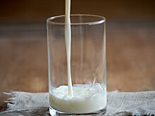 В Пензе для детей участников СВО хотят ввести новую меру поддержки