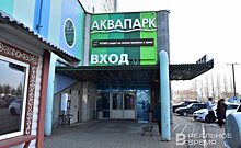 У казанского аквапарка "Барионикс" появился молодой совладелец с десятками "дочек"