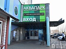 У казанского аквапарка "Барионикс" появился молодой совладелец с десятками "дочек"
