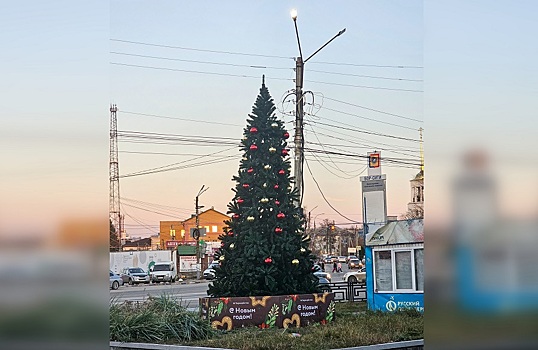 Первая новогодняя елка появилась на Бору