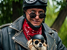 Прилучный и Комаров рассказали о съемках в «Приключениях желтого чемоданчика»