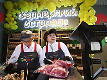 В Волгограде открыли первый кооперативный фермерский «островок»