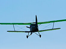 Авиакомпании предупредили о рисках приостановки полетов на Ан-2