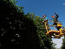 В Орле МУП «Зеленстрой» оказался на грани банкротства