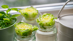 10+ продуктов, которые можно вырастить из обрезков