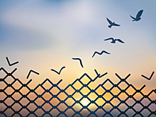 Окраска цифровых рублей; системы выплат и льгот в новых реалиях; 29 лет домену .ru и другие события дня