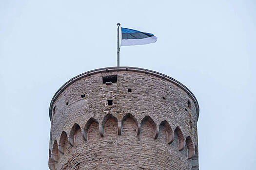 Месть горделивого чухонца: Эстония вводит новый налог в счетах за электричество