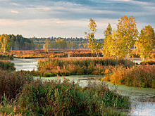 Туристы смогут переночевать в заповеднике с комфортом