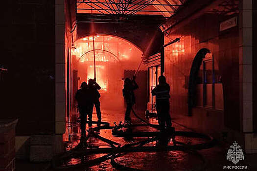 МЧС: в Петербурге ликвидировали крупный пожар на Правобережном рынке