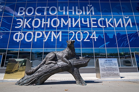 ВЭФ-2024 посетили представители 16 недружественных стран и территорий