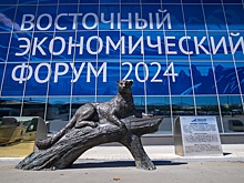 ВЭФ-2024 посетили представители 16 недружественных стран и территорий