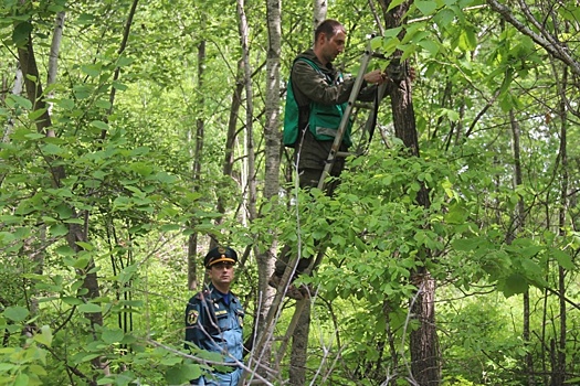 В Хабаровском крае начали устанавливать фотоловушки на поджигателей леса