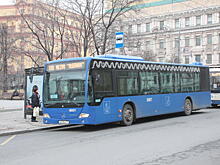 День московского транспорта пройдет в столице