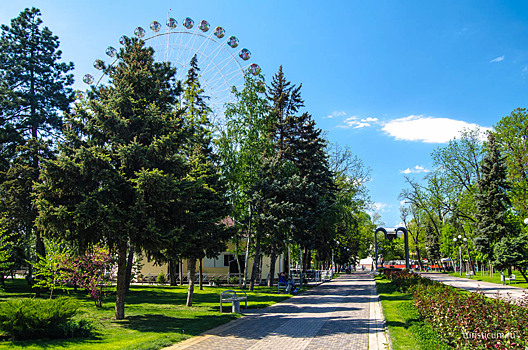 В Краснодаре проведут аудит парков в рамках программы «Комфортная городская среда»