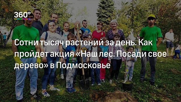 Образовательные учреждения Подмосковья поддержат акцию «Наш лес. Посади свое дерево» 21 сентября