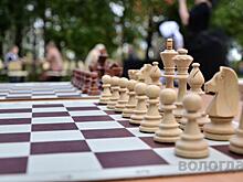 Сто юных шахматистов Вологды сражаются за звание лучшего