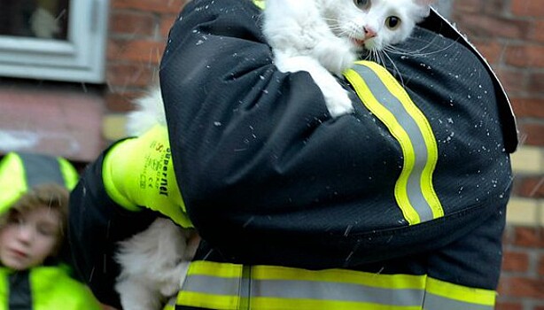 Больше чем фото