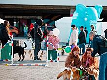 Партия "Новые люди" в Самаре провела акцию в поддержку приютов для животных