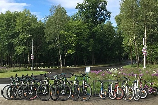 Свыше 150 сервисов велопроката работают в Подмосковье этим летом