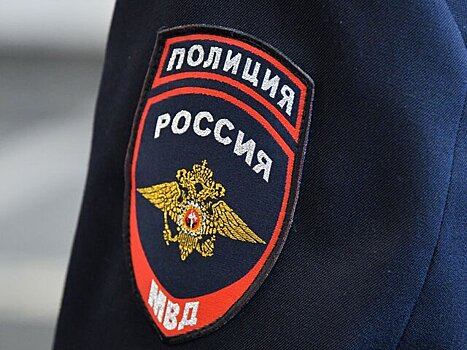 Полиция задержала в Москве учителя по подозрению в совращении школьницы по переписке