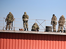Рыжий кот Вася стал боевым талисманом российских военных в зоне СВО