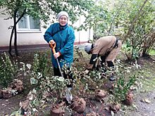 Более ста деревьев и кустарников высадили в Покровском-Стрешневе