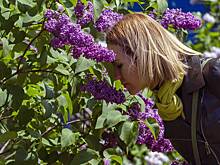 Врачи предупредили о распространенном симптоме многих опасных болезней