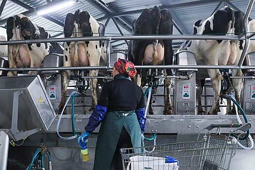 Эксперты спрогнозировали кризис на молочном рынке из-за действий Минсельхоза