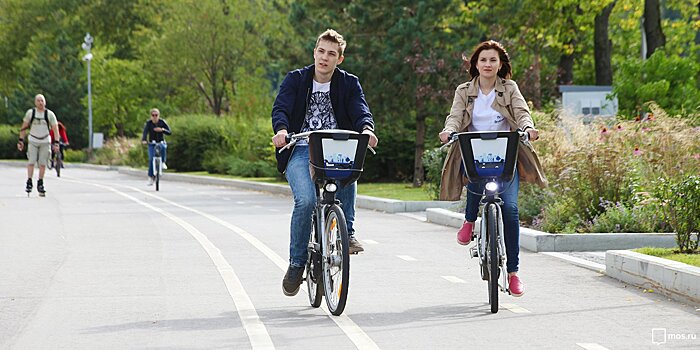 В парке «Ангарские пруды» можно будет арендовать велосипед