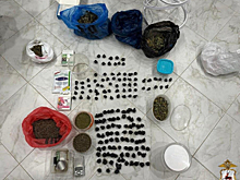 В Нижегородской области наркополицейские пресекли попытку сбыта растительного наркотика в крупном размере