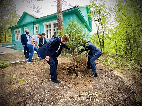 Волонтеры под Мурманском высадили более 700 саженцев в ходе акции "Сад памяти"