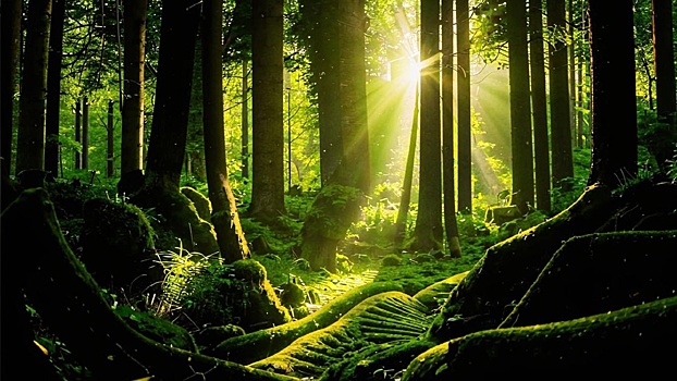 В Техническом университете УГМК прошёл корпоративный День знаний