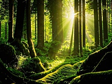 В Техническом университете УГМК прошёл корпоративный День знаний