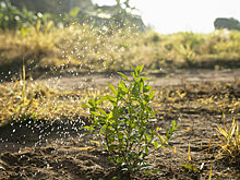 Депутаты предложили больше внимания уделять мелиорации земли