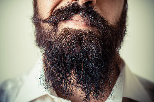 «Преимущество в драках»: зачем нужна борода
