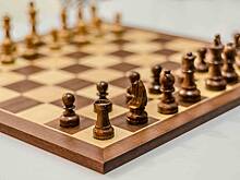 В Федерации шахмат России оценили переход шахматиста-чемпиона в сборную Сербии