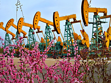 В Китае поставили рекорд по количеству добытой нефти