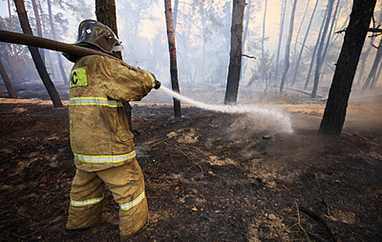 В Крыму устранили угрозу распространения пожара на село Трудолюбово