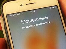 Жительница Альметьевска заплатила за «консультацию» аферисту 445 тыс. руб.