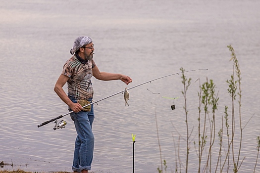 С 20 апреля запрещен вылов рыбы в Новосибирской области