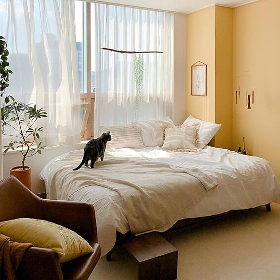 Котик украсит любую комнату, тем более такую большую и светлую.